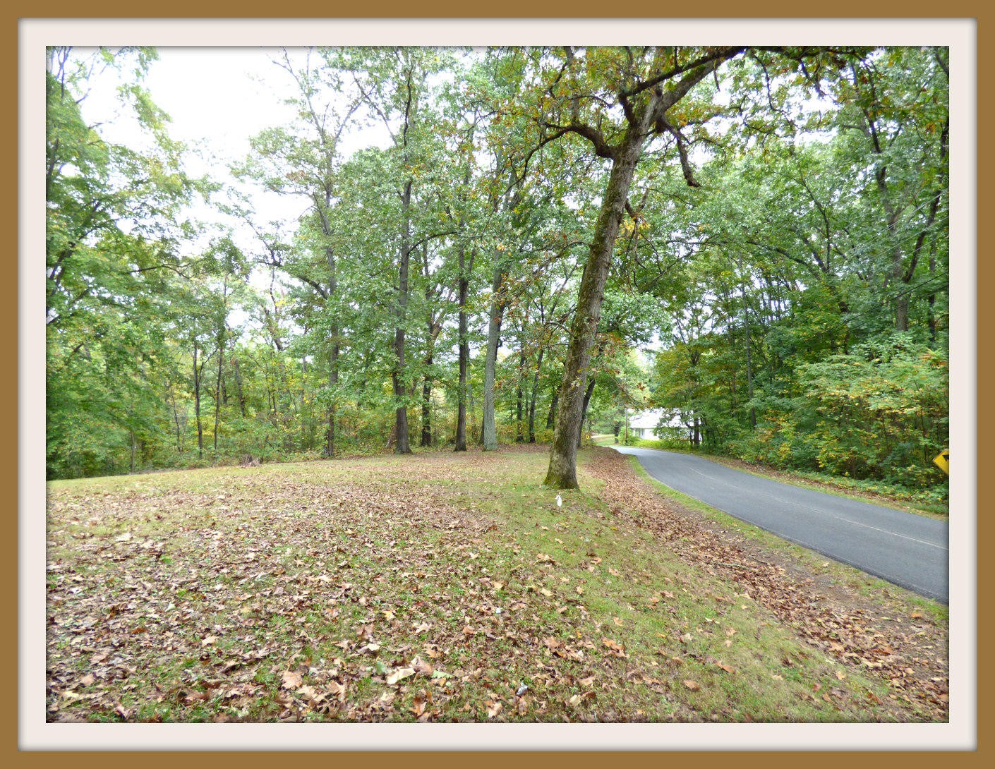 2 Goose Creek Road Dandridge, TN 37725 - Photo 2 of 13 Gallery Image 2