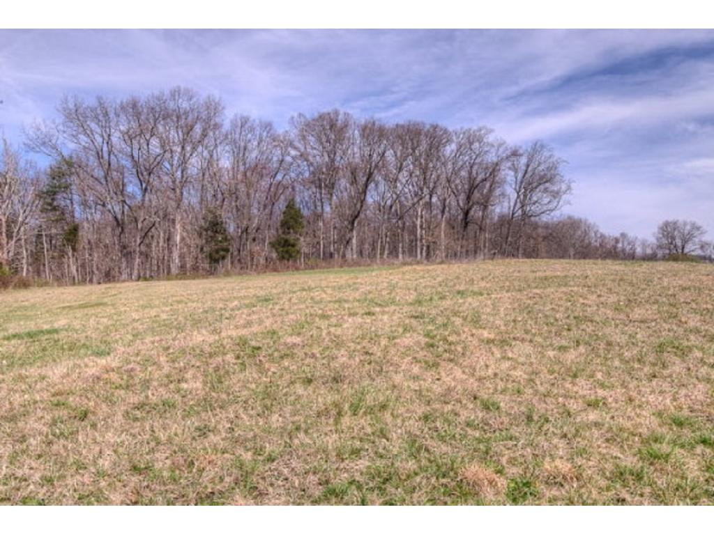 3413 Reedy Creek Road Bristol, VA 24202 - Photo 13 of 16 Photo 13