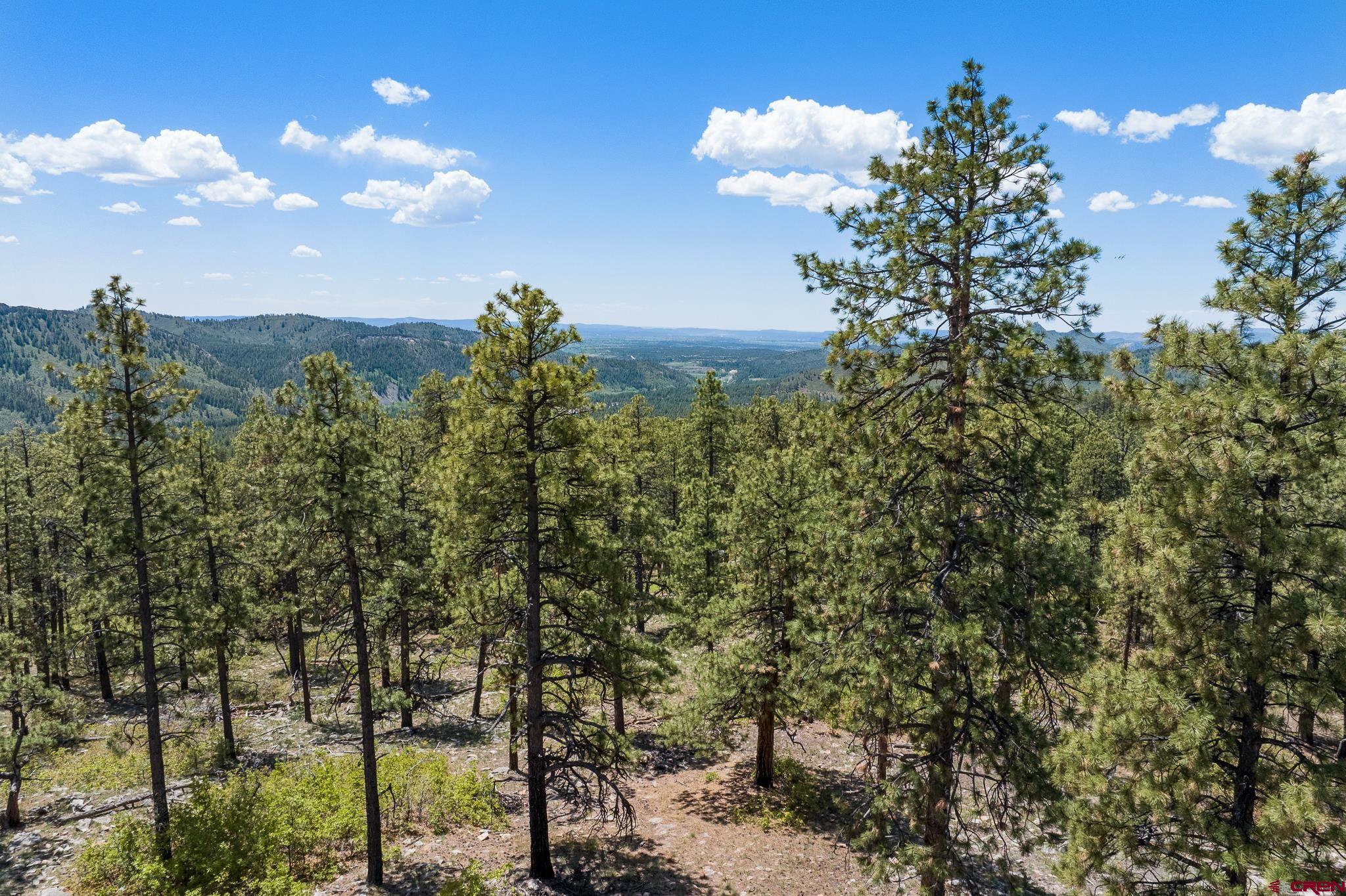 2511 Taylor Ranch Road Durango, CO 81301 - Photo 11 of 23 a view of a yard