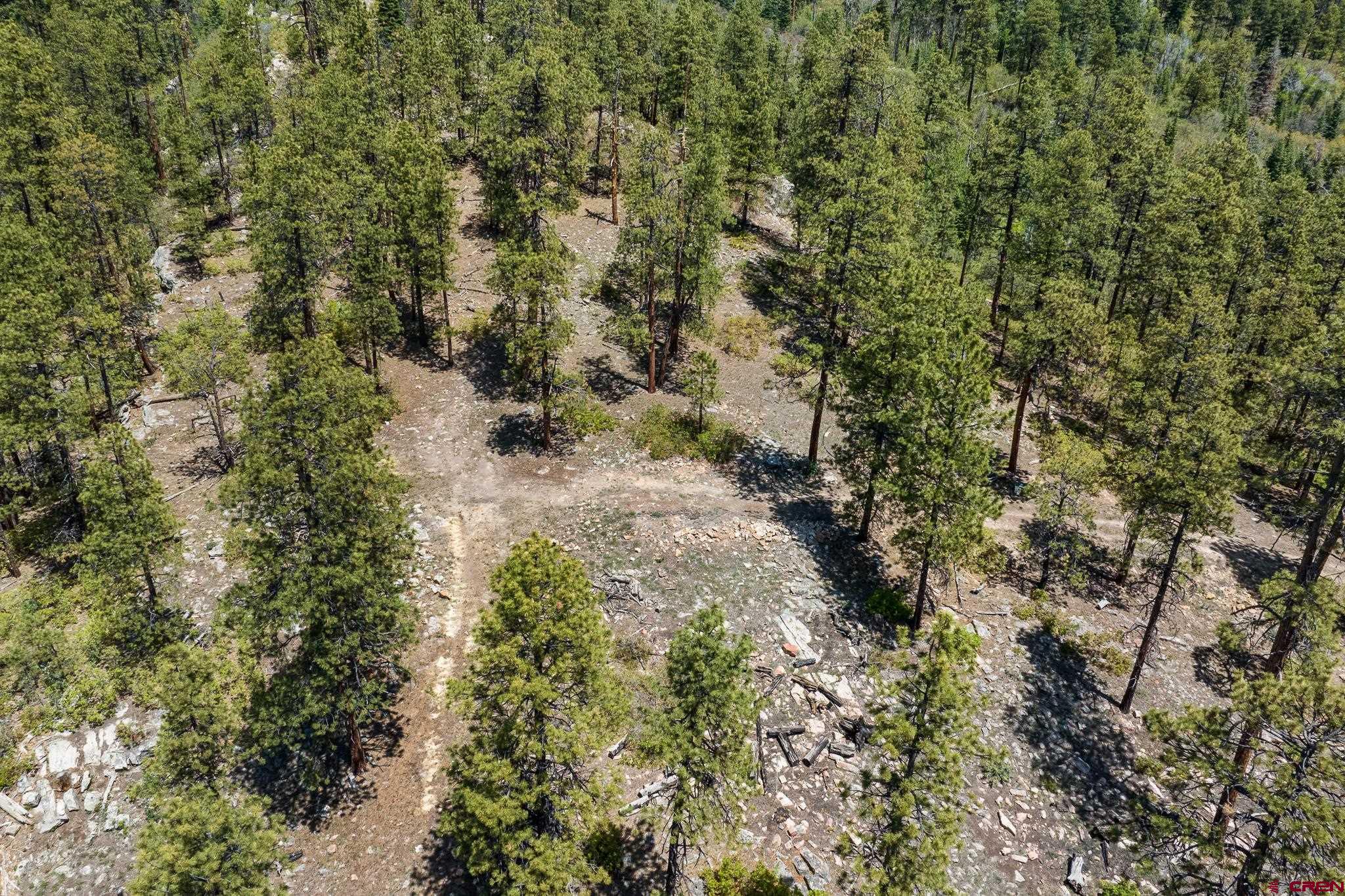 2511 Taylor Ranch Road Durango, CO 81301 - Photo 12 of 23 a view of a yard with plants and trees