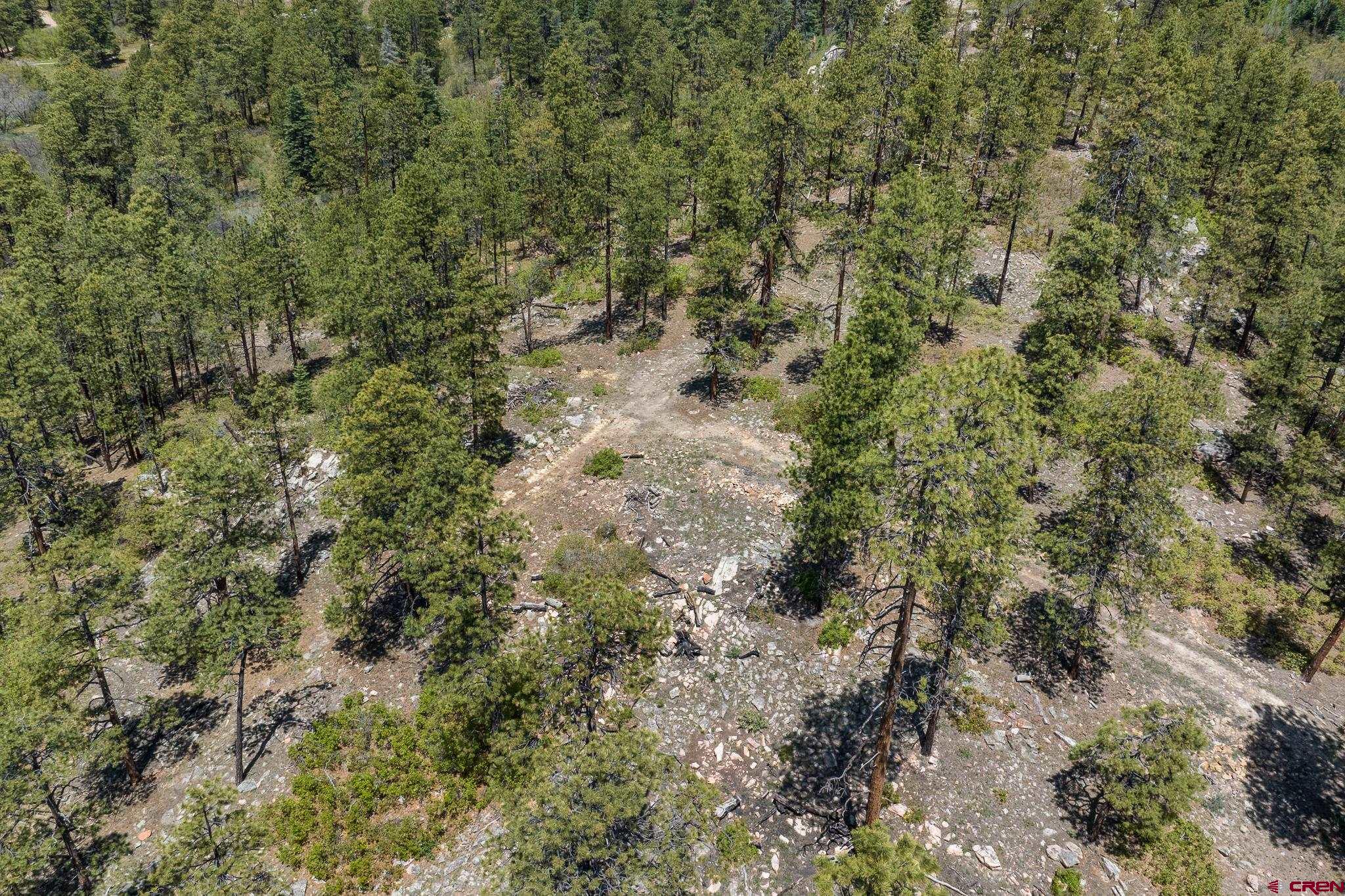 2511 Taylor Ranch Road Durango, CO 81301 - Photo 13 of 23 a view of a forest with lots of trees