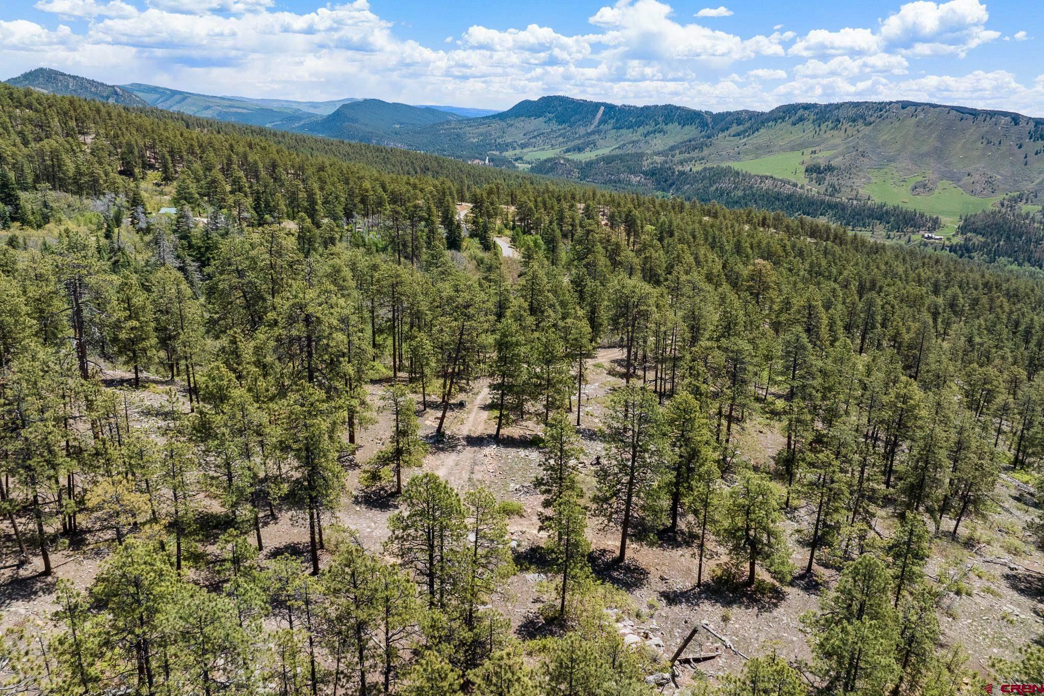 2511 Taylor Ranch Road Durango, CO 81301 - Photo 16 of 23 a view of a city with mountains in the background