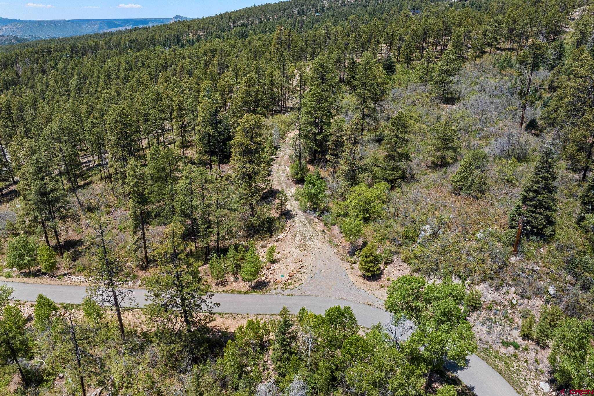 2511 Taylor Ranch Road Durango, CO 81301 - Photo 17 of 23 a view of a forest with a building