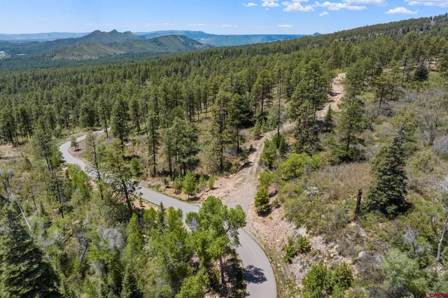 a view of a forest with a mountain in the background
