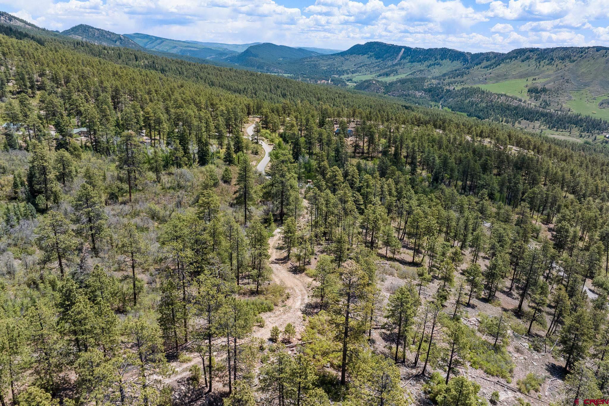 2511 Taylor Ranch Road Durango, CO 81301 - Photo 2 of 23 a view of a lush green forest with lush green forest