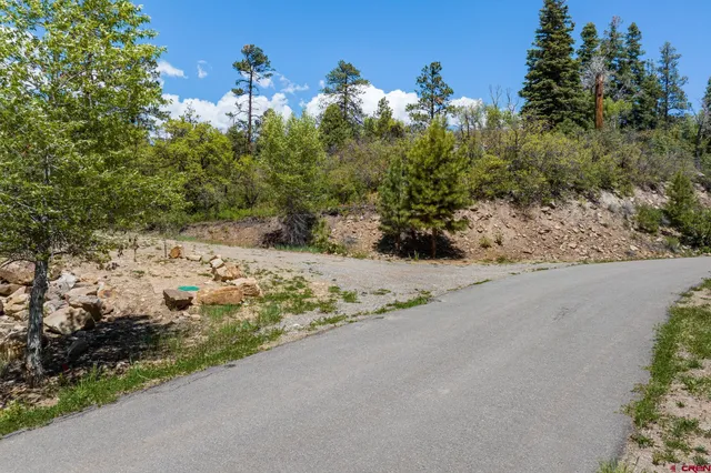 a view of a road with a yard