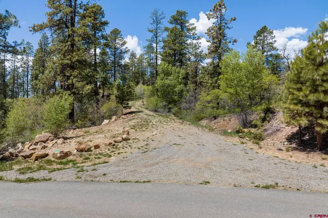 a view of a road with a tree in the background