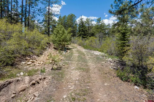 a view of lake with green space