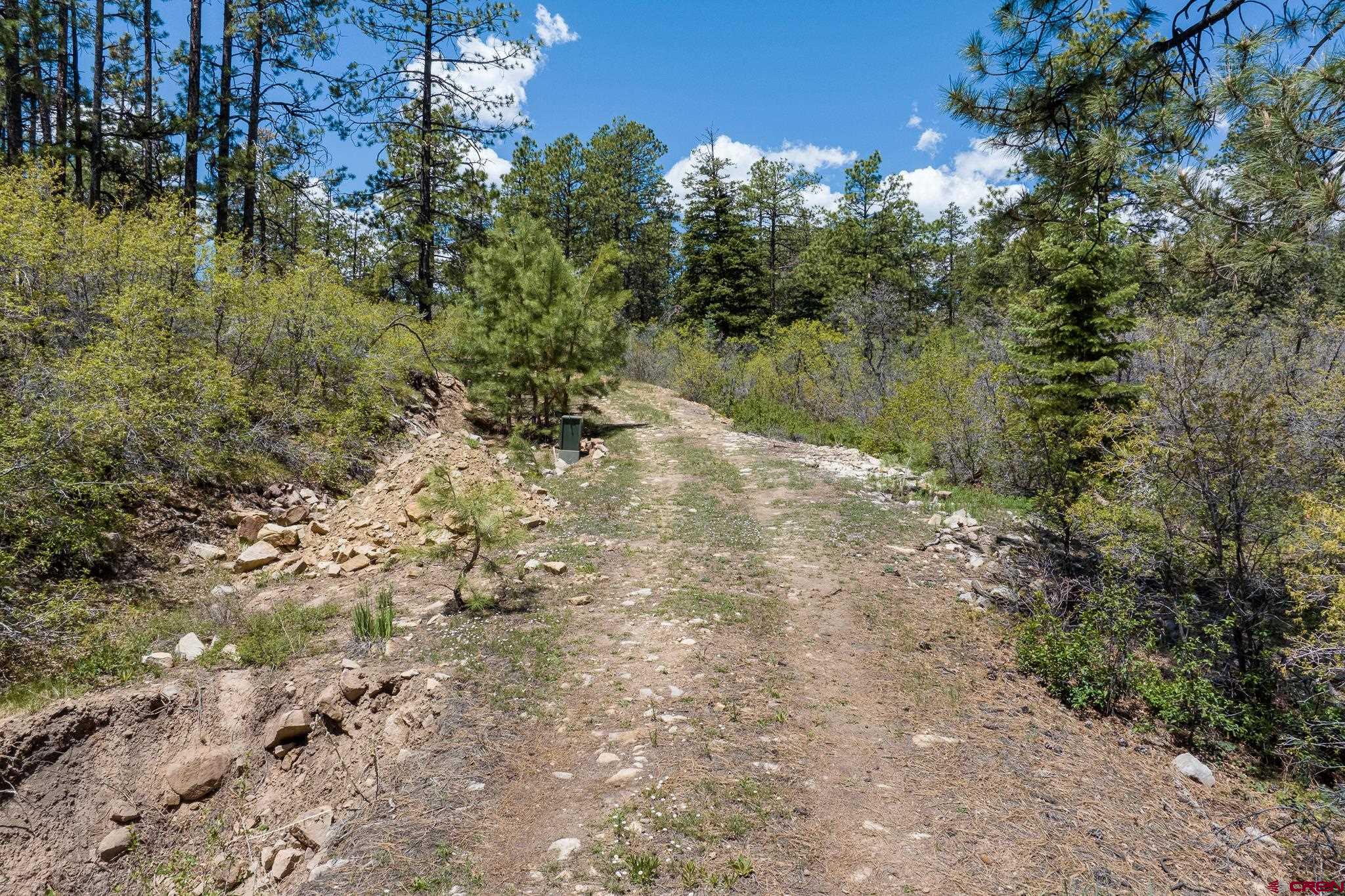 2511 Taylor Ranch Road Durango, CO 81301 - Photo 7 of 23 a view of lake with green space