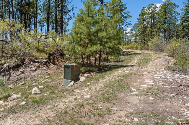 a view of a back yard