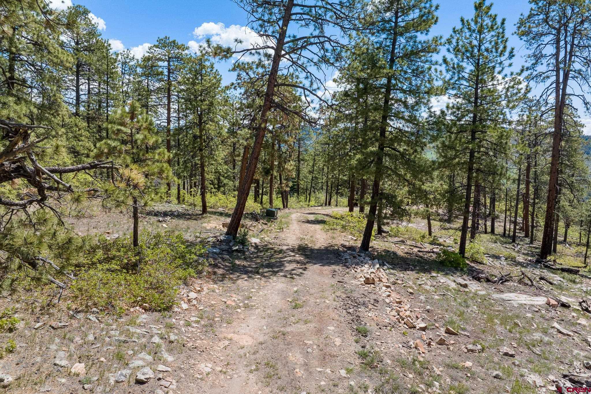 2511 Taylor Ranch Road Durango, CO 81301 - Photo 10 of 23 a view of outdoor space with trees