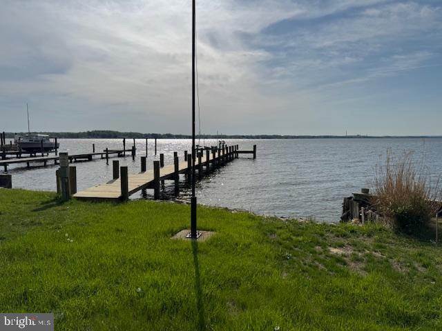 1158 East Riverside Avenue Essex, MD 21221 - Photo 11 of 12 a view of a garden with lawn chairs