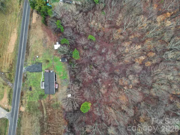 a backyard with a trees