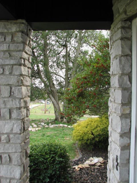 1192 Old Patterson Branch Road Somerset, KY 42503 - Photo 72 of 82 IMG_1823