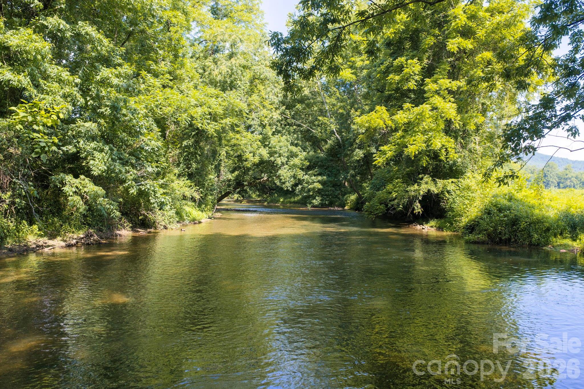10 Old Turnpike Road Mills River, NC 28759 - Photo 36 of 40