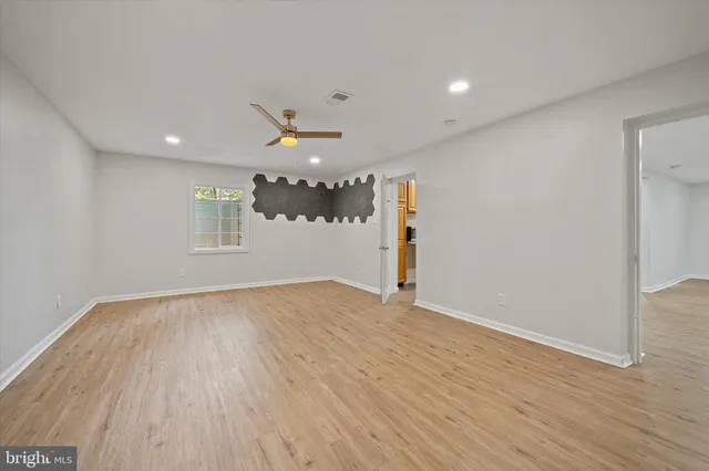 a view of a lush green forest with trees in the background