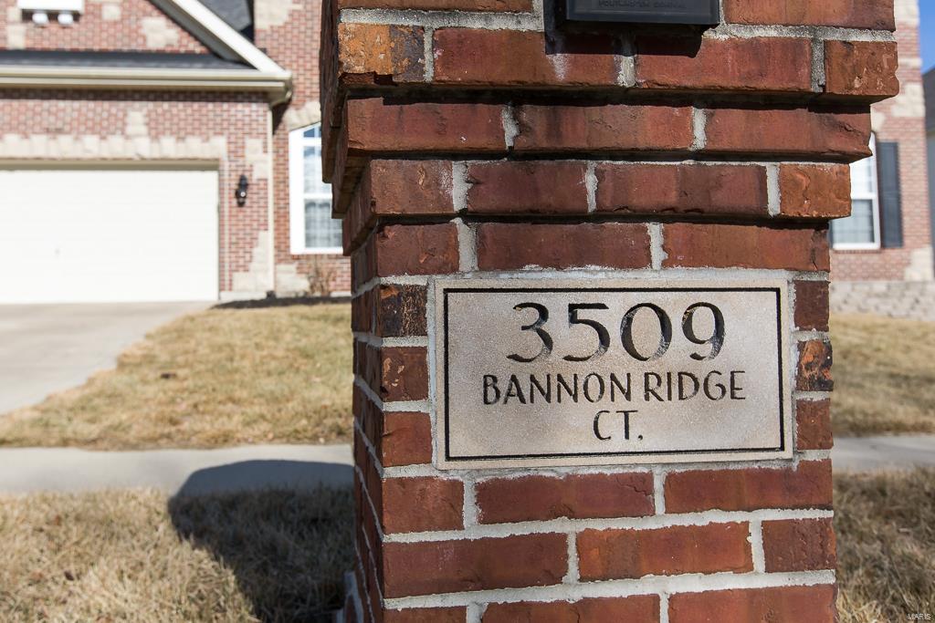 3509 Bannon Ridge Belleville, IL 62221 - Photo 42 of 43