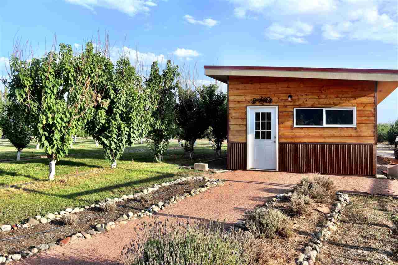 3461 D Road Palisade, CO 81526 - Photo 10 of 34 a front view of a house with a yard