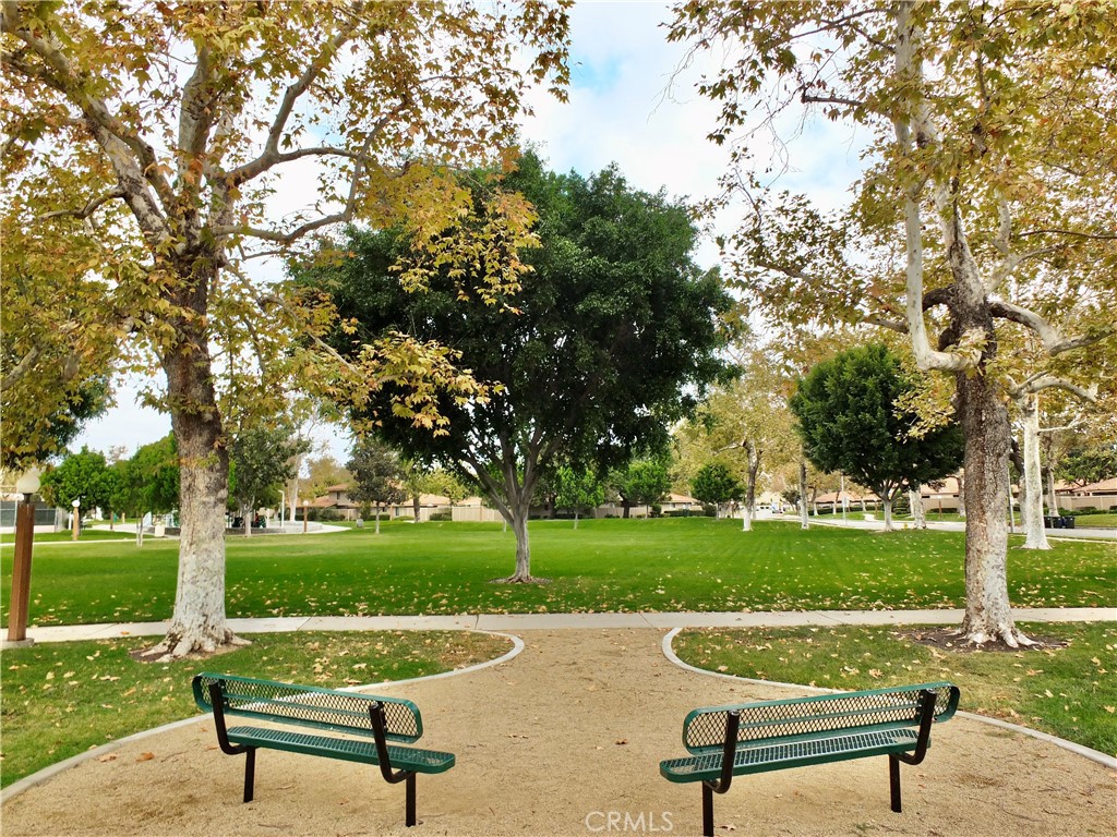 14431 Raintree Road Tustin, CA 92780 - Photo 51 of 53 a park view with a bench and trees