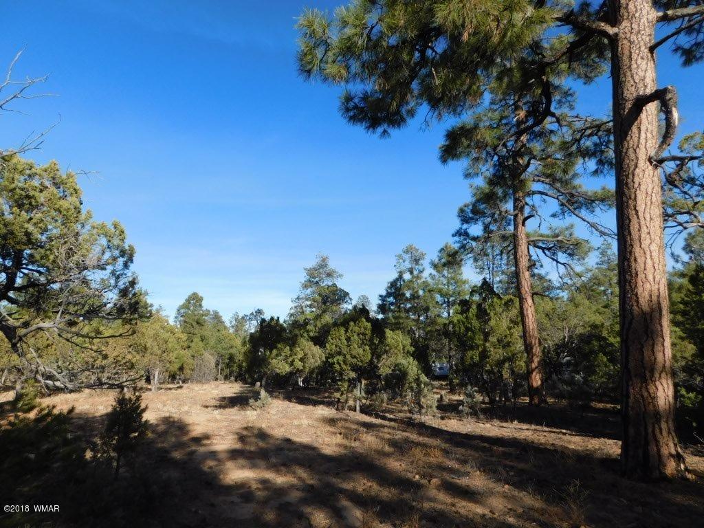 Tbd Lejo Road Overgaard, AZ 85933 - Photo 8 of 11