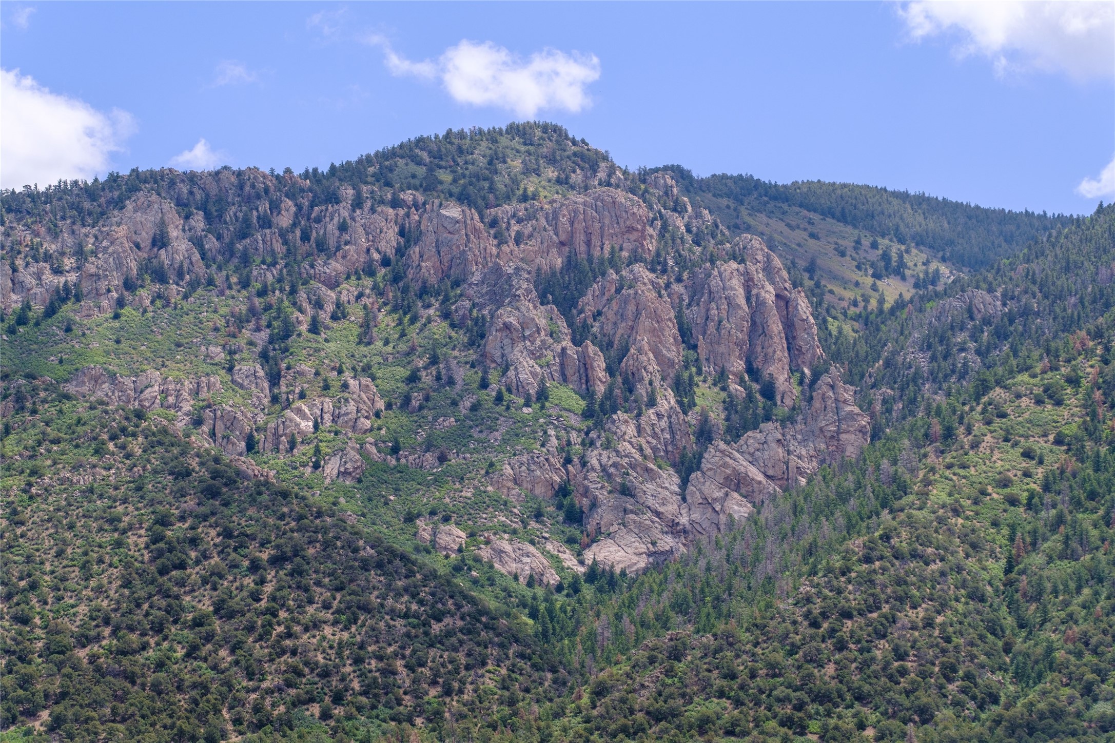 131 Quintana Road Cerro, NM 87519 - Photo 45 of 50