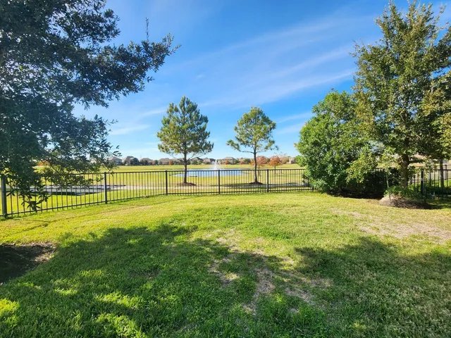 a view of a park with large trees