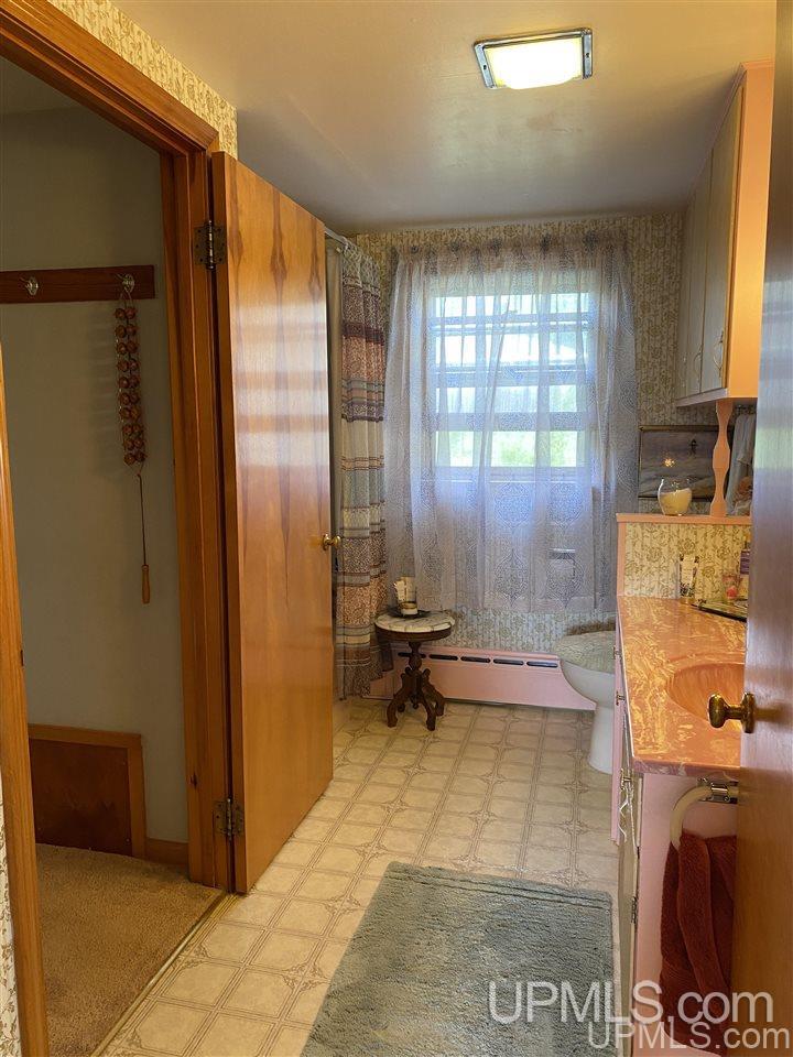 220 Marble Street Ishpeming, MI 49849 - Photo 28 of 41 Gallery Image 28