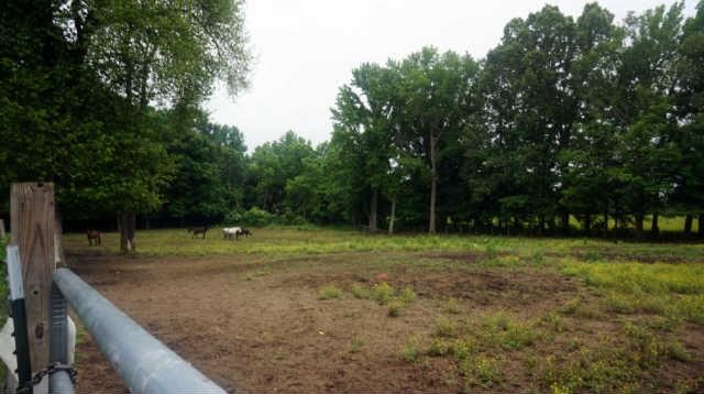 4012 Sango Road Clarksville, TN 37043 - Photo 11 of 22 a view of outdoor space with trees