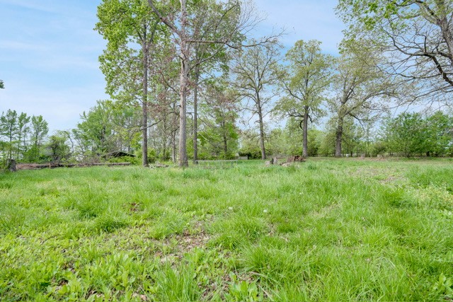 4012 Sango Road Clarksville, TN 37043 - Photo 7 of 22 a view of outdoor space with trees all around