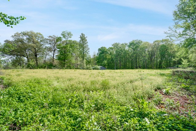 4012 Sango Road Clarksville, TN 37043 - Photo 9 of 22 a view of backyard with green space