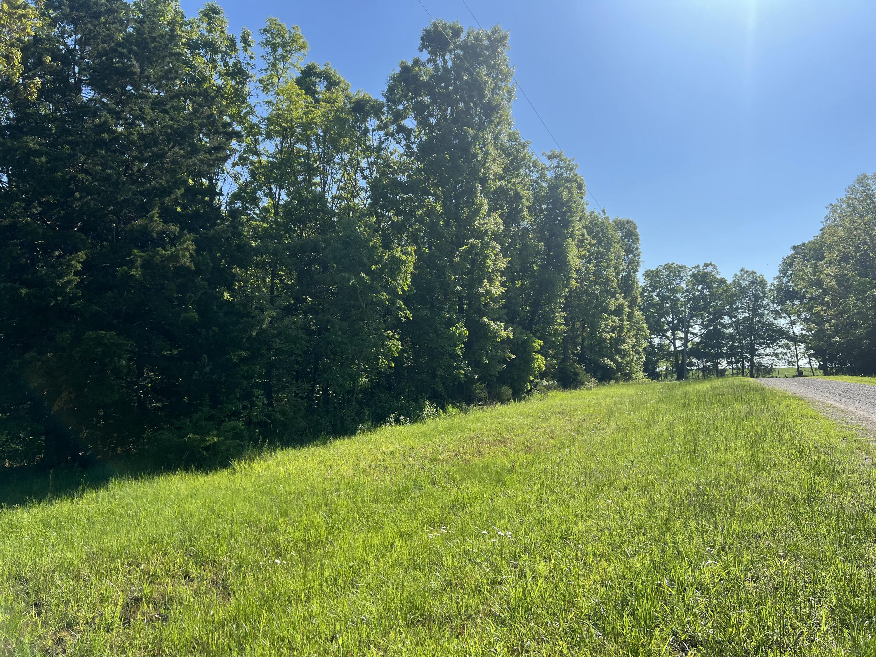 0 Co Road Ava, MO 65608 - Photo 1 of 1 IMG_20250509_112935