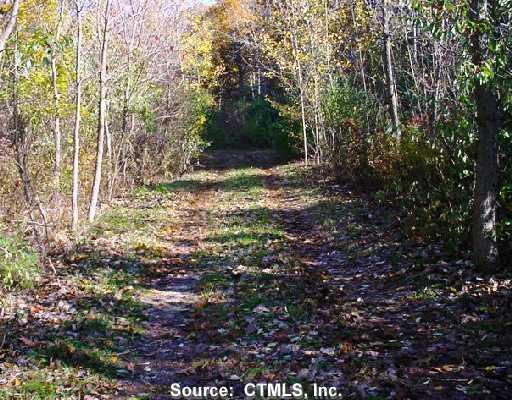 77 Shepard Hill Road Killingly, CT 06239 - Photo 1 of 1 a view of a forest with trees in the background