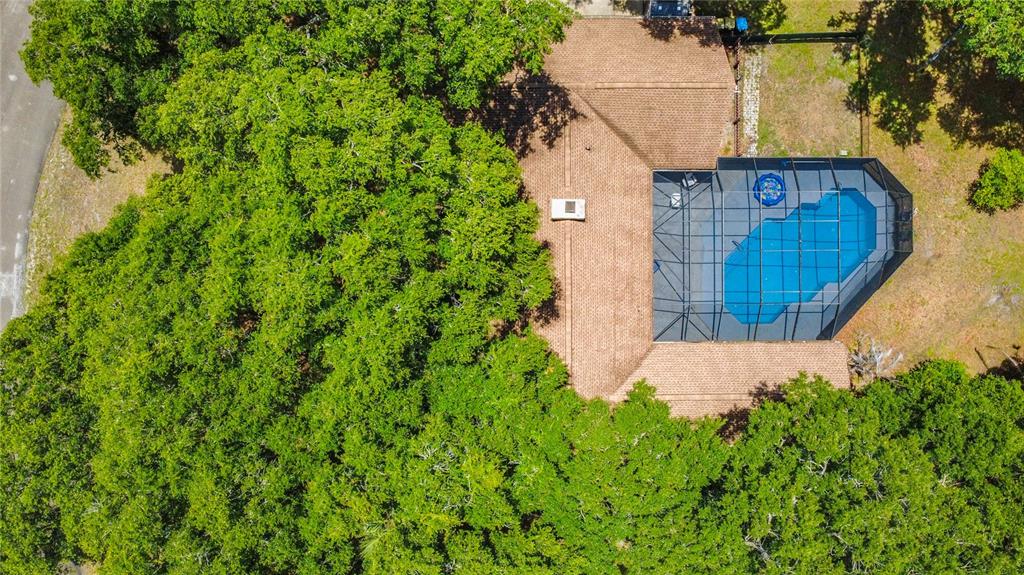 420 Nina Road Northeast Palm Bay, FL 32907 - Photo 85 of 90