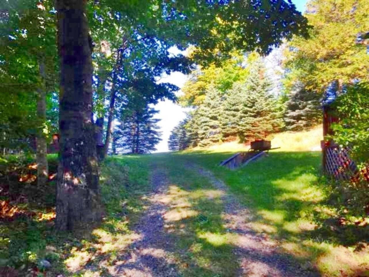 7002 Lakeshore Road Manistee, MI 49660 - Photo 3 of 63 Wonderful wooded setting