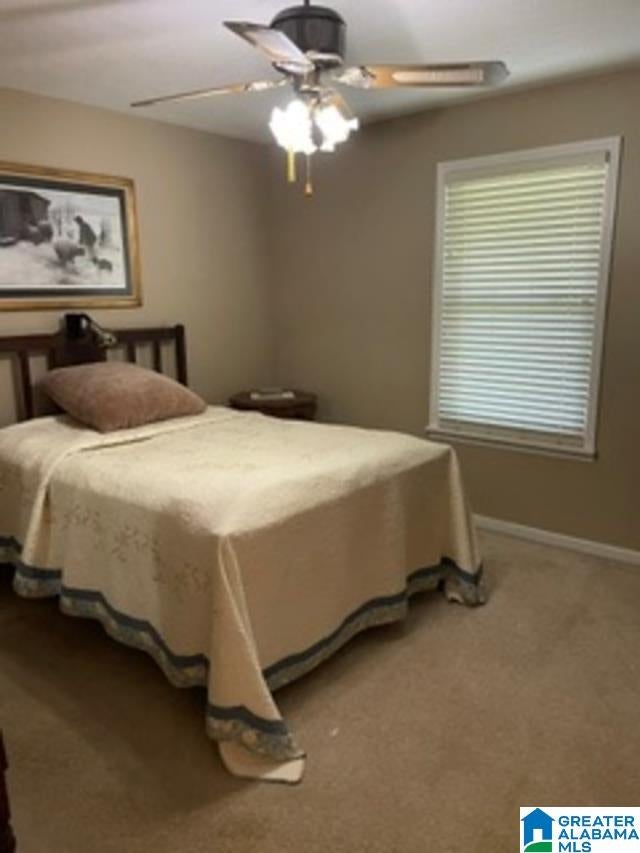 120 Hendrix Street Oneonta, AL 35121 - Photo 11 of 12 Gallery Image 11