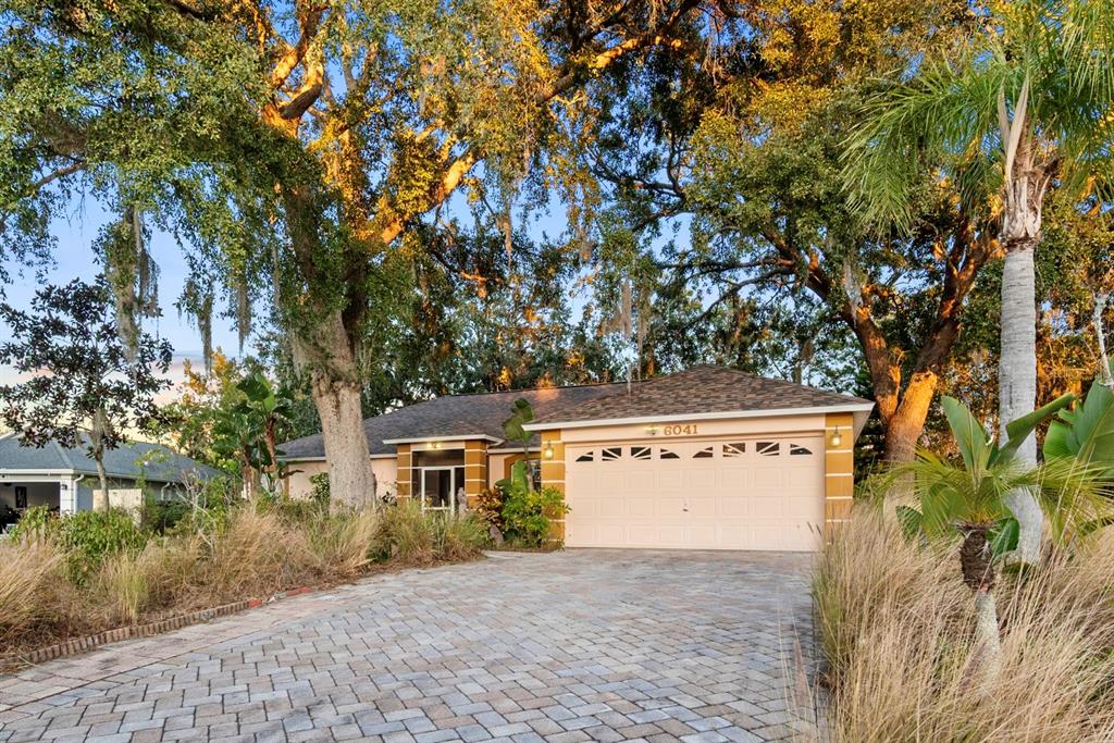 6041 Canopy Oaks Court New Port Richey, FL 34653 - Photo 1 of 1 a view of a house with a tree
