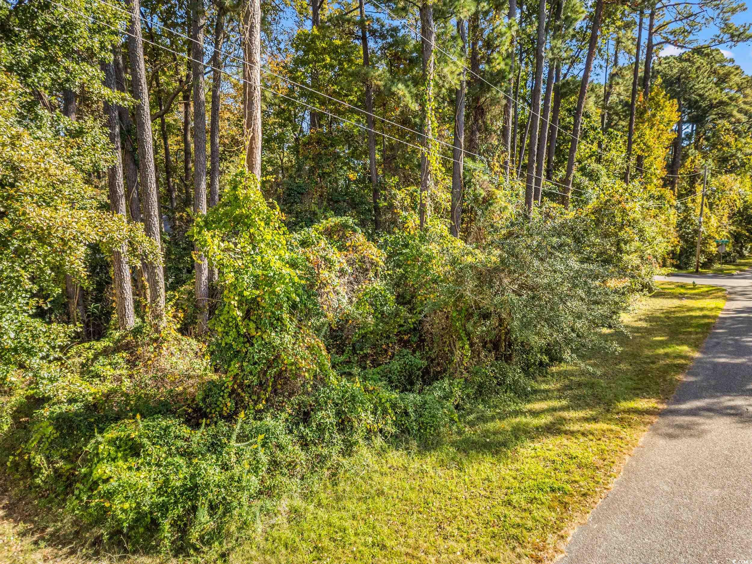 1301 King Street Myrtle Beach, SC 29577 - Photo 3 of 11 View of asphalt street with a view of trees
