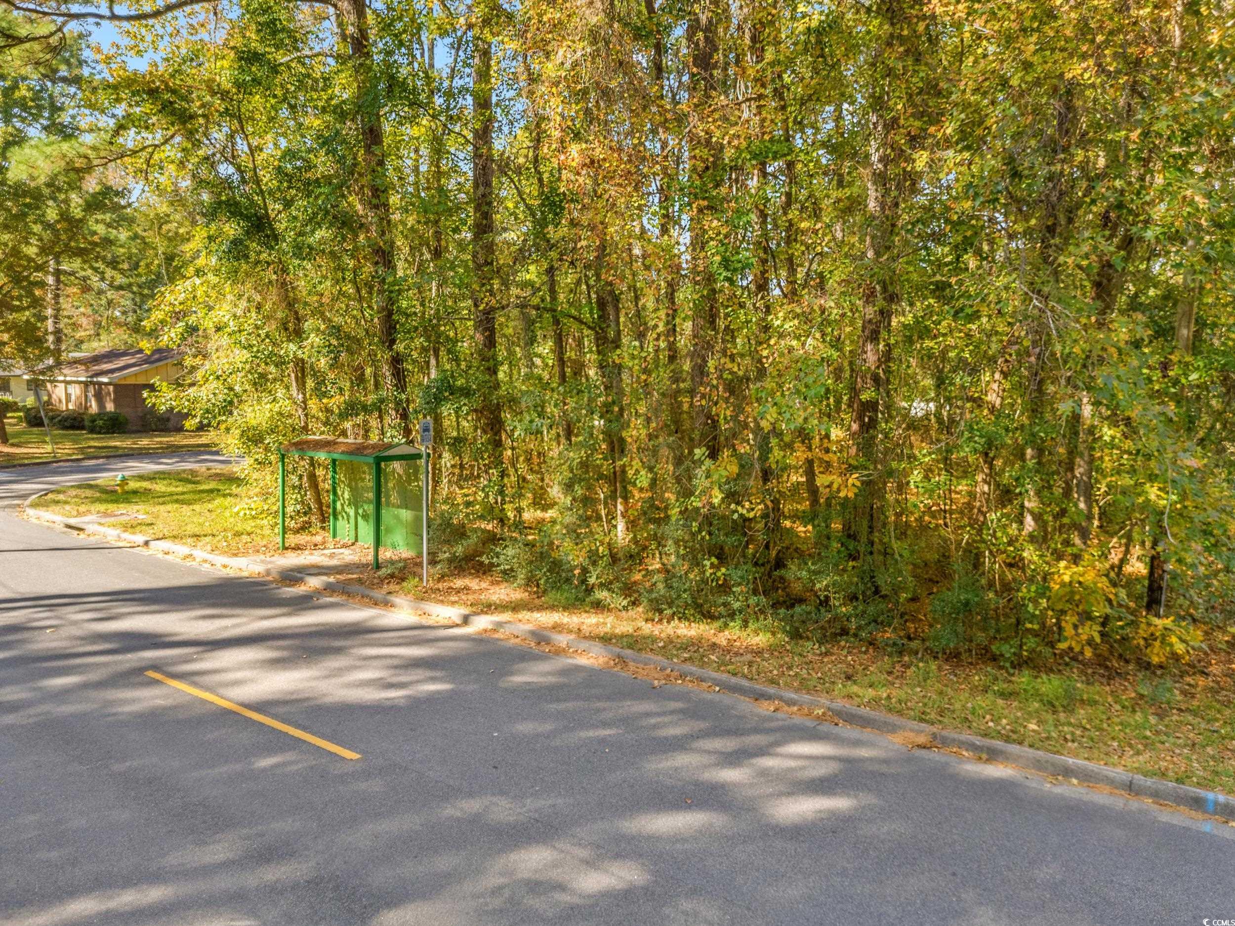 1301 King Street Myrtle Beach, SC 29577 - Photo 4 of 11 View of asphalt road with curbs