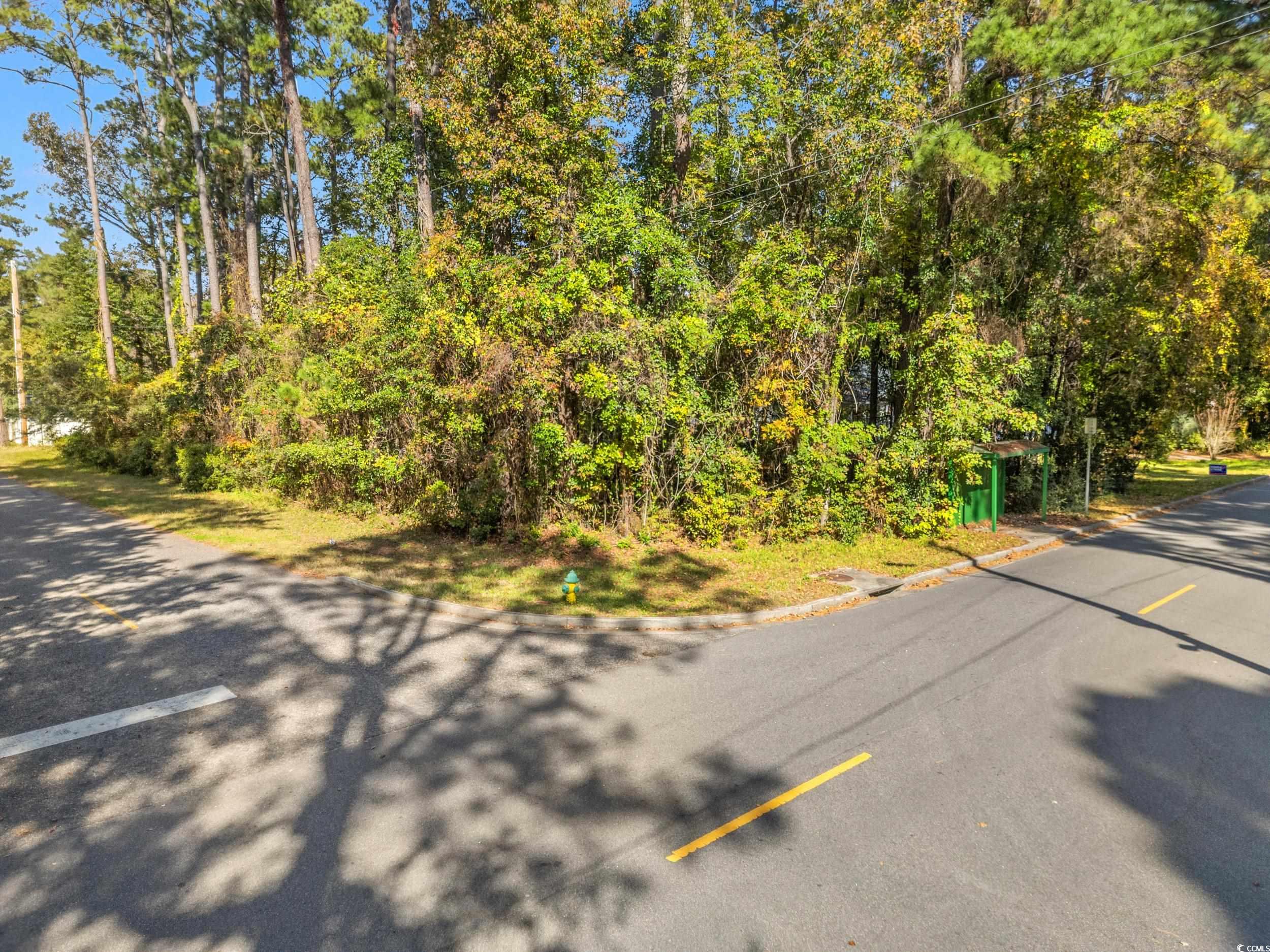 1301 King Street Myrtle Beach, SC 29577 - Photo 5 of 11 View of asphalt street