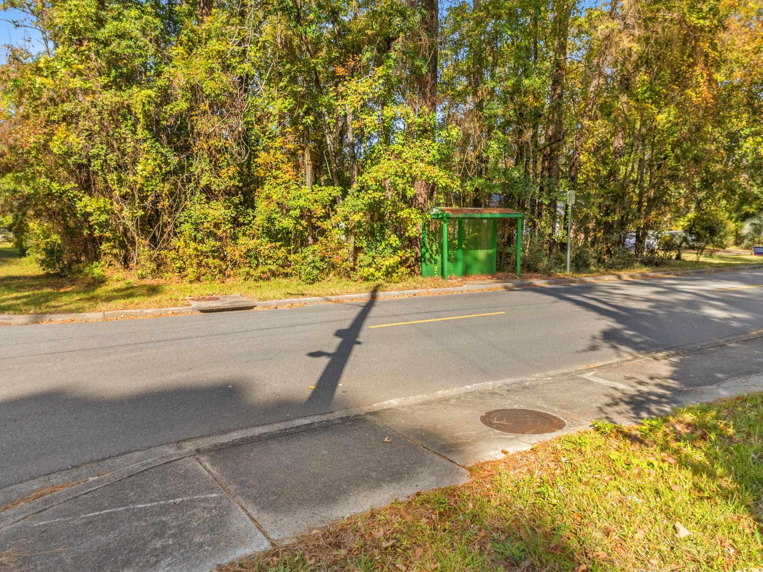 1301 King Street Myrtle Beach, SC 29577 - Photo 6 of 11 View of asphalt road with curbs