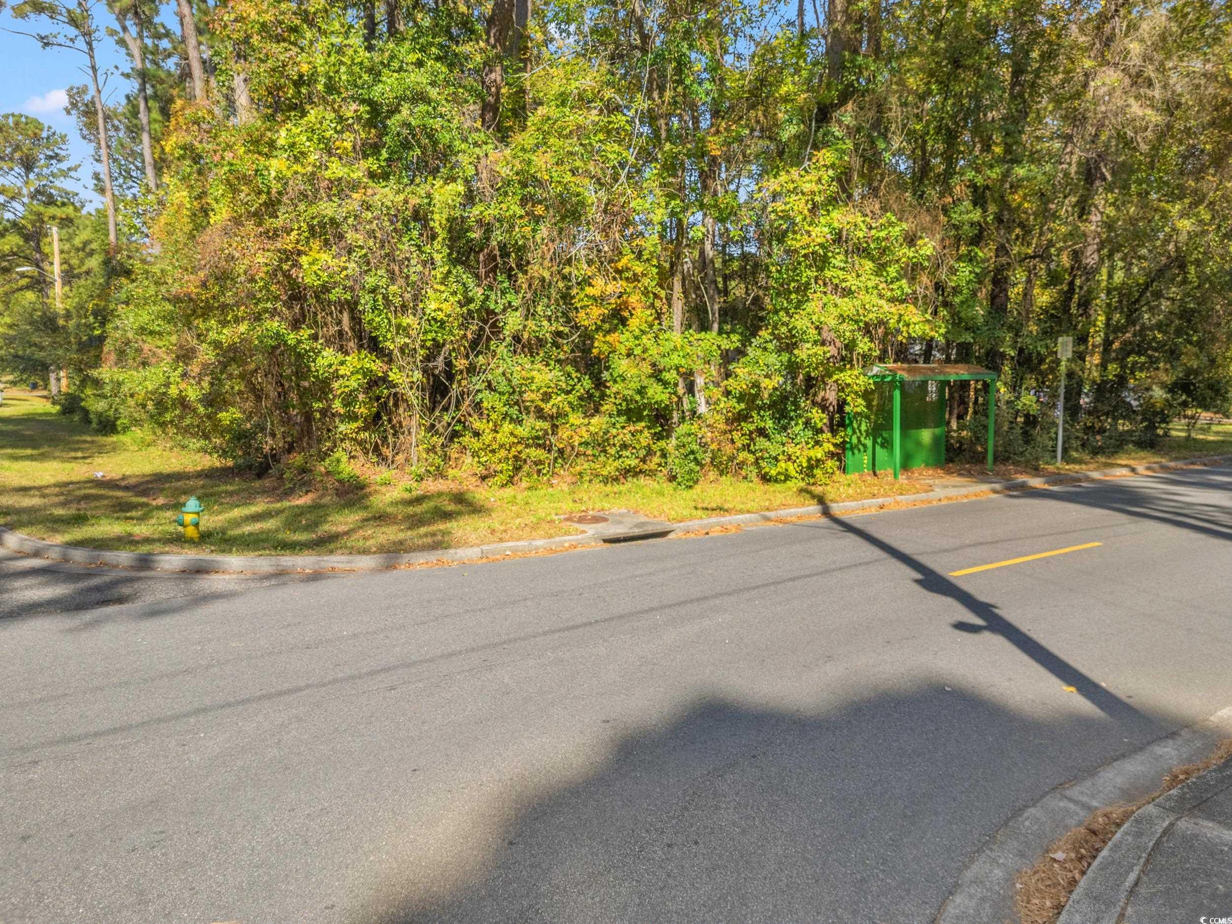 1301 King Street Myrtle Beach, SC 29577 - Photo 7 of 11 View of asphalt street with curbs