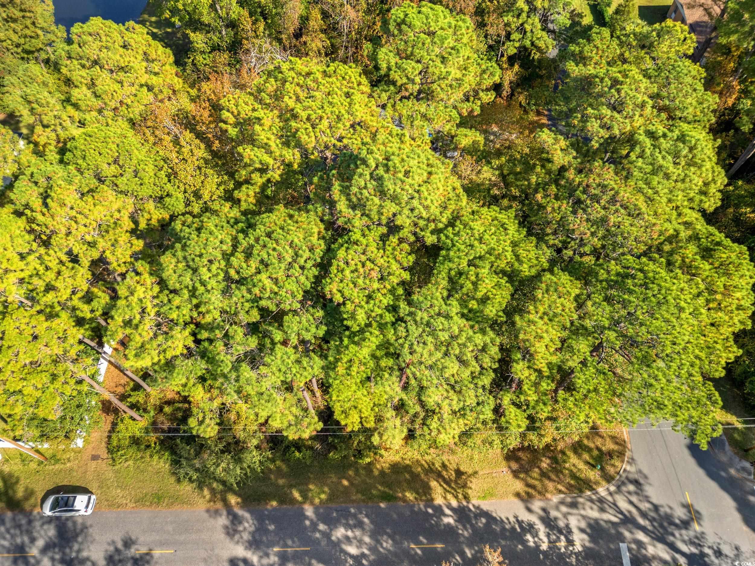 1301 King Street Myrtle Beach, SC 29577 - Photo 8 of 11 Bird's eye view