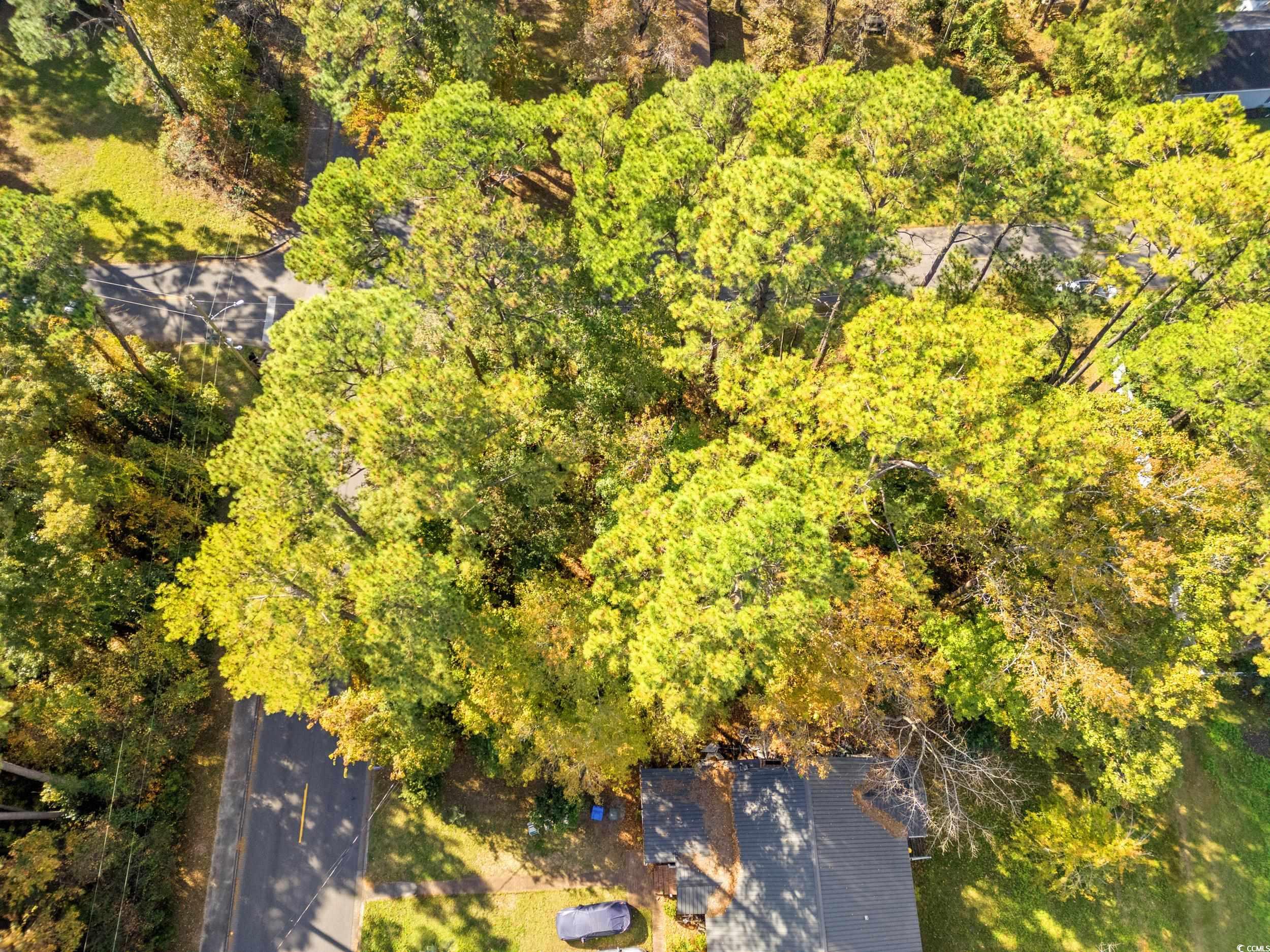 1301 King Street Myrtle Beach, SC 29577 - Photo 10 of 11 Aerial view