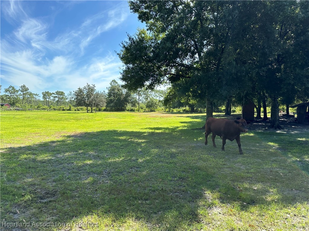 3991 Raccoon Road Zolfo Springs, FL 33890 - Photo 15 of 43 Gallery Image 15