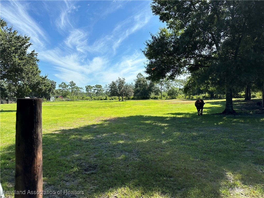 3991 Raccoon Road Zolfo Springs, FL 33890 - Photo 16 of 43 Gallery Image 16