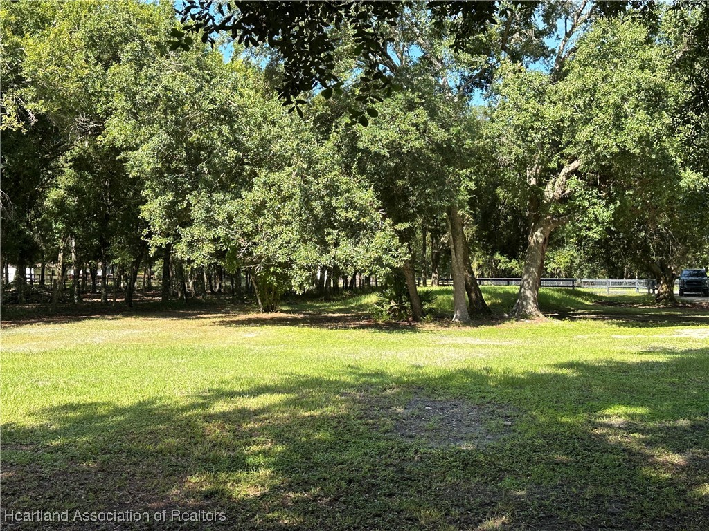 3991 Raccoon Road Zolfo Springs, FL 33890 - Photo 17 of 43 Gallery Image 17