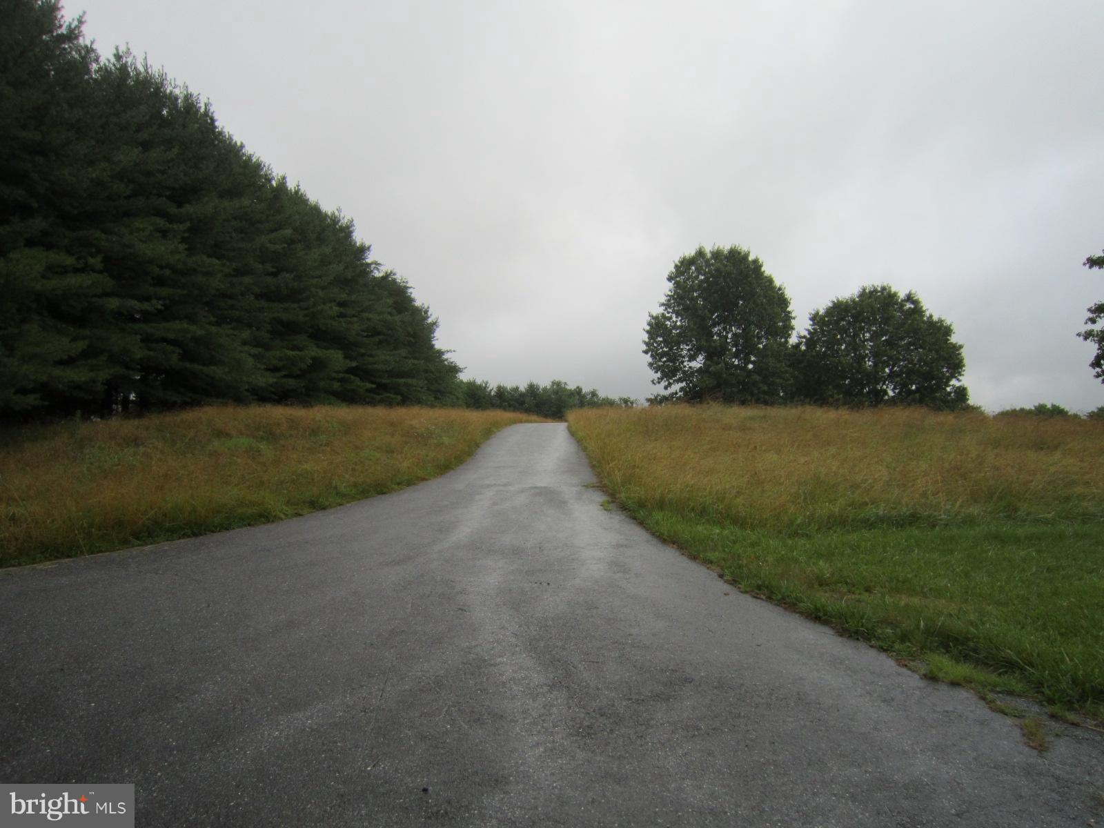 7941 Bennett Branch Road Mount Airy, MD 21771 - Photo 14 of 15 Access road to the property