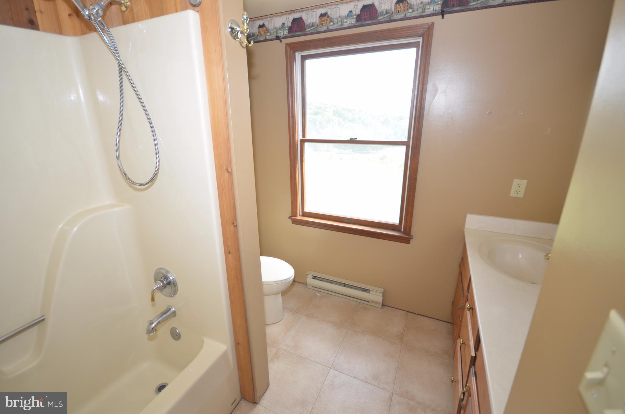 7941 Bennett Branch Road Mount Airy, MD 21771 - Photo 7 of 15 Bath (Master)