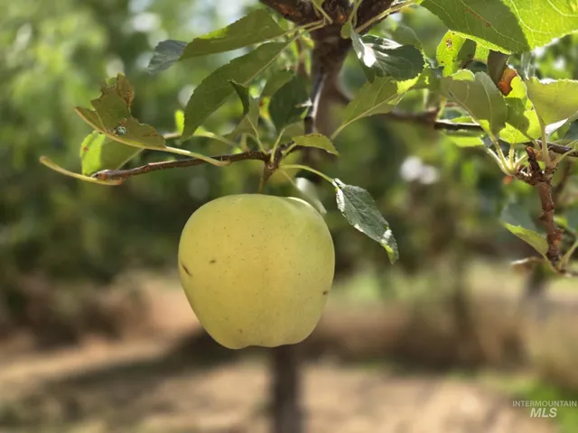 $299,950 | 319 Pataha Street, Pomeroy, WA 99347