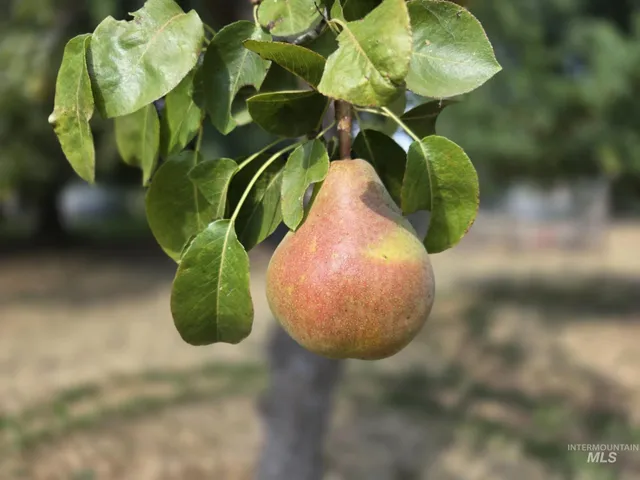 $299,950 | 319 Pataha Street, Pomeroy, WA 99347